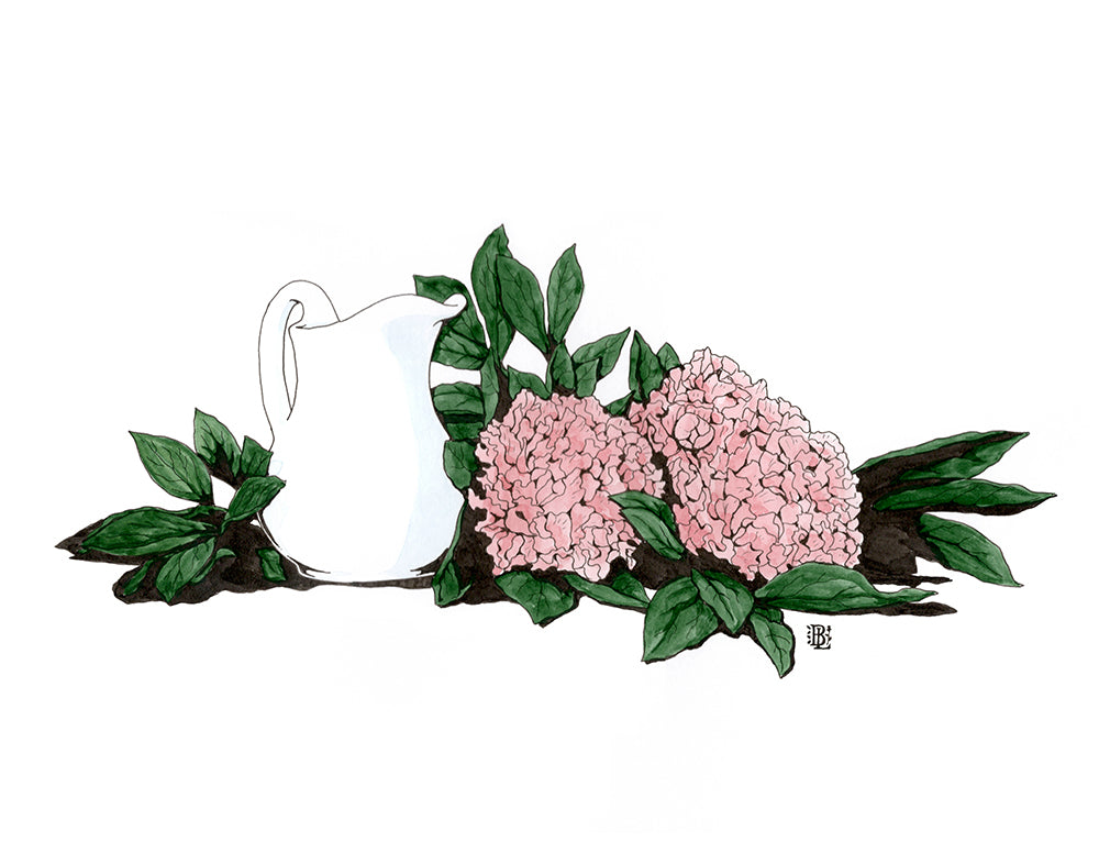 Pitcher and Peonies