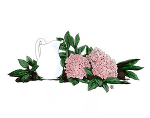 Pitcher and Peonies - Art Print