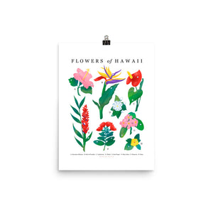 Flowers of Hawaii - Art Print